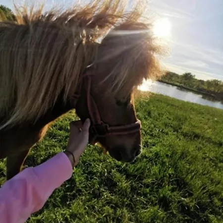 팜스테이 Dom Nad Rozlewiskiem